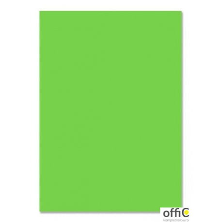 Brystol 220g, B2, jasno zielony (25szt) 3522 5070-51 Happy Color WW